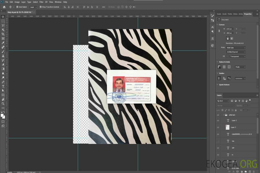 Libye DL photolook DEVANT template